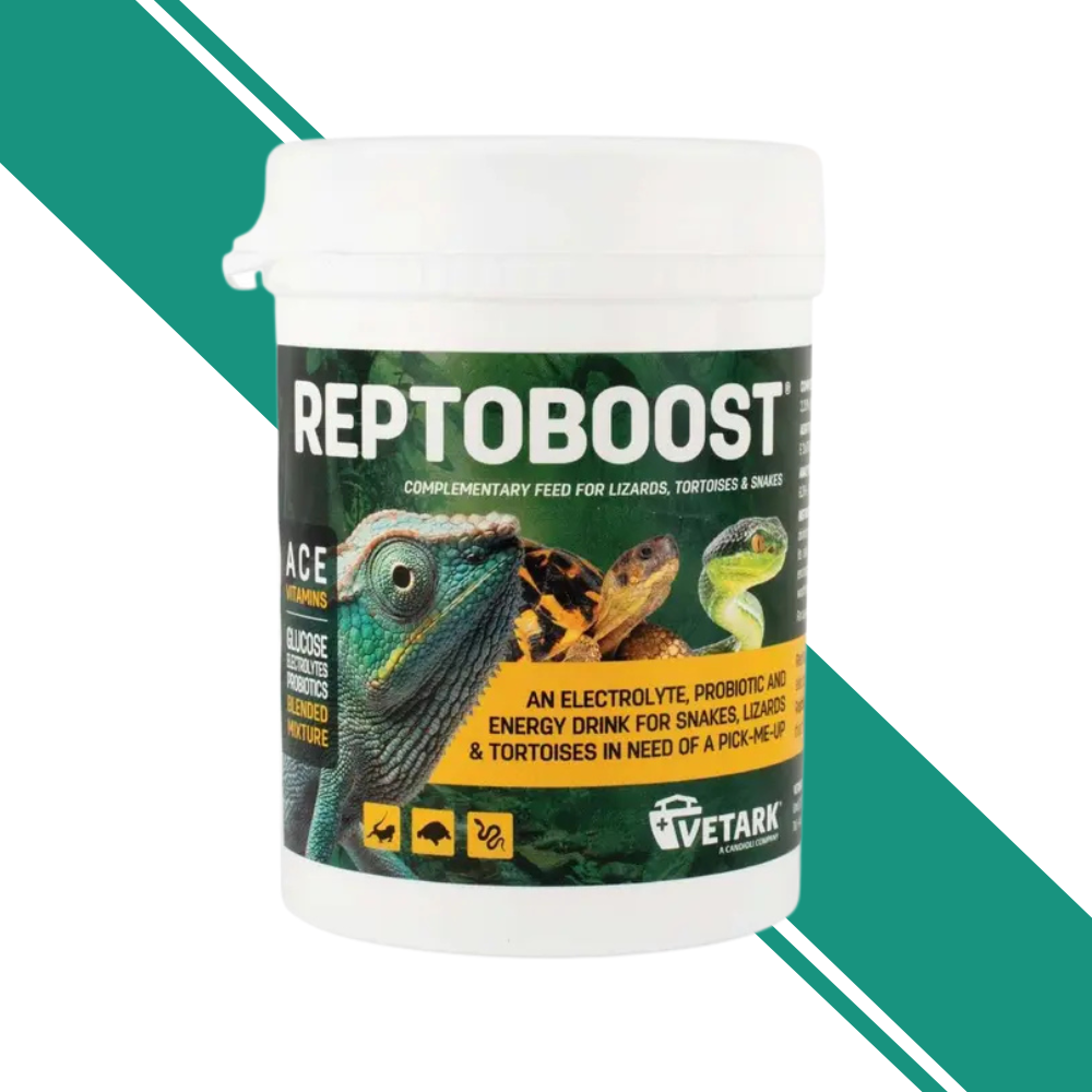 Reptoboost Electrolyte and Probiotic Powder for Reptiles